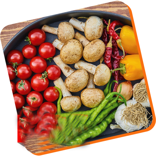 healthy eating guide icon