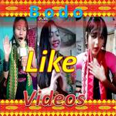 Bodo Like Videos
