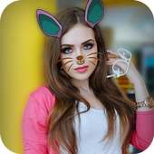 Snap Cat Face Camera : Snap Filters Selfie Camera on 9Apps