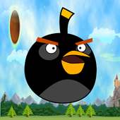 Birds Run Angry Rush: Birds Running Games 2018