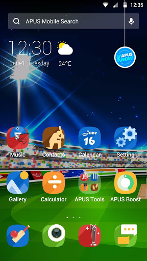 Cricket tema untuk APUS screenshot 1
