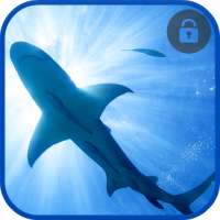 Great White Sharks Slide To Unlock Lock Screen on 9Apps