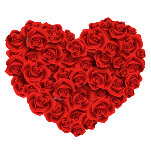 Flowers Stickers for Whatsapp icon