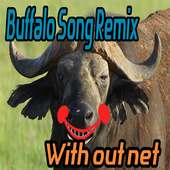 U S A Buffalo Remix