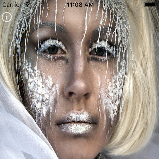 Gallery Felicia icon