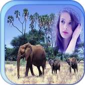 Elephant Photo Frame on 9Apps