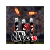 Nautilus cricket icon