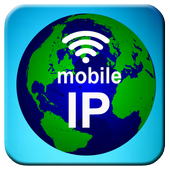 My IP and Wifi Info icon