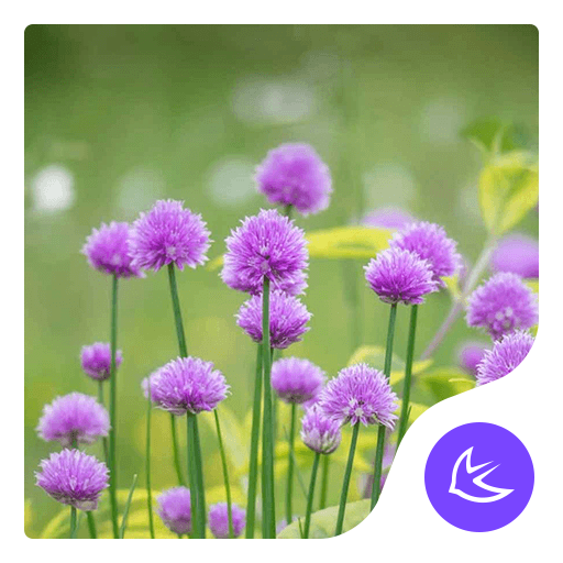 Flower-APUS Launcher theme icon
