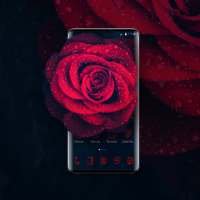 Glamorous Red Rose Launcher on 9Apps