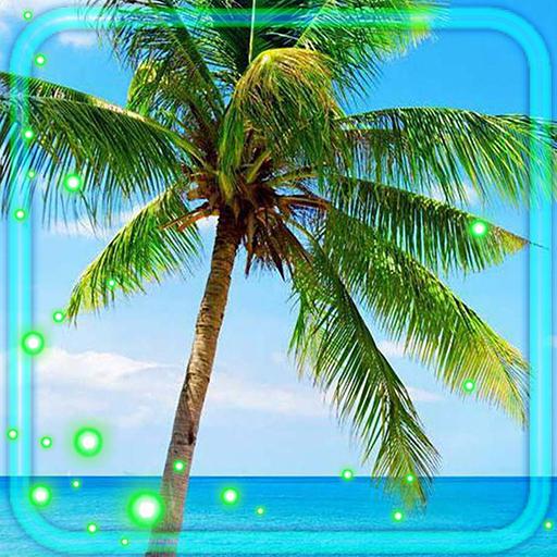 Beach Sea Palm Live Wallpaper أيقونة