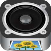 Bolle Player on 9Apps