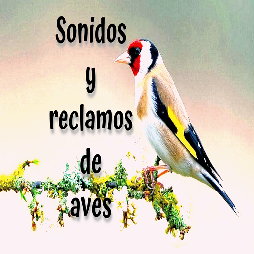 Sonidos y reclamos de aves - Bird sound free icon