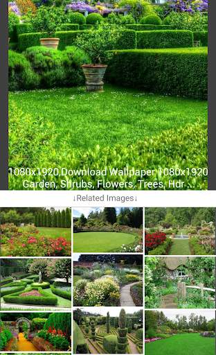 Image Search (Image Download) screenshot 3