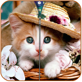 Pretty Kitty Screen Lock icon