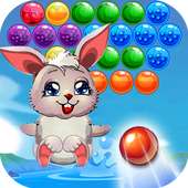 Rabbit Bunny Bubble Pop