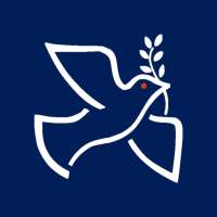 GuNews. My daily news briefing