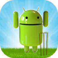 Pocket Cricket Scorer