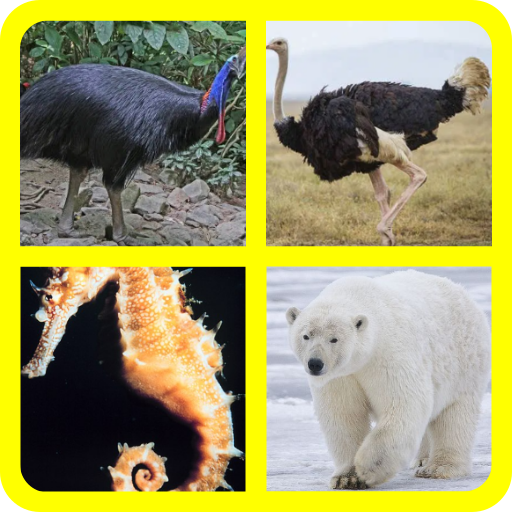 Game Tebak Gambar Foto Hewan Lucu icon