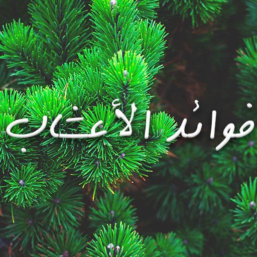 فوائد و أضرار الأعشاب الطبية icon