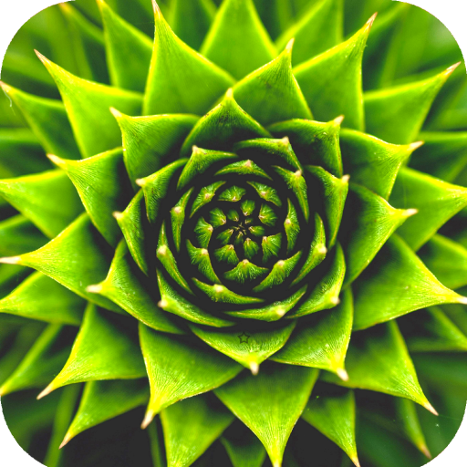 Awesome Wallpaper HD icon