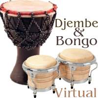 Virtual Djembe & Bongo