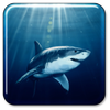 Shark Live Wallpaper icon