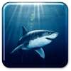 Shark Live Wallpaper on 9Apps