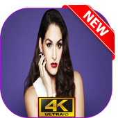 Nikki wwe Bella Wallpaper HD icon