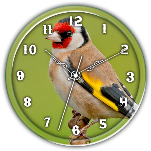 American Gold Finch Clock LWP icon