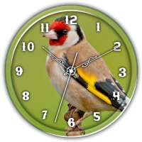 American Gold Finch Clock LWP on 9Apps