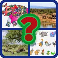 Guess the animals