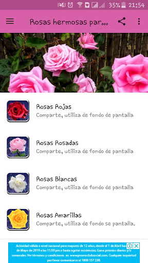 Rosas Para Ti screenshot 1