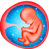 Pregnancy Week By Week - Tips icon