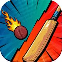 World Cricket Ball Challenge