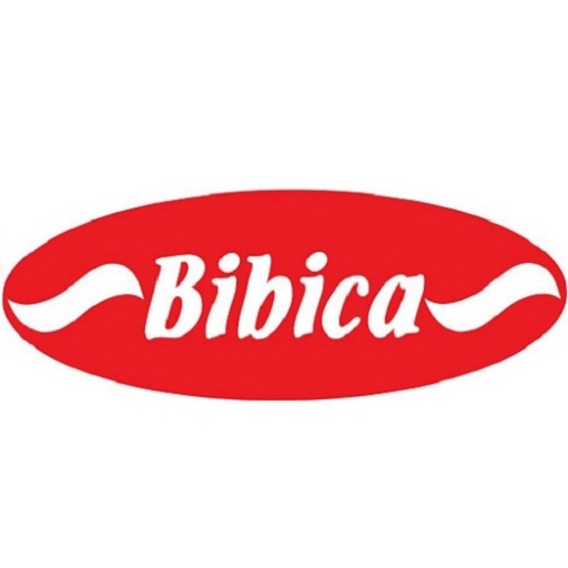 SalesUp Bibica icon