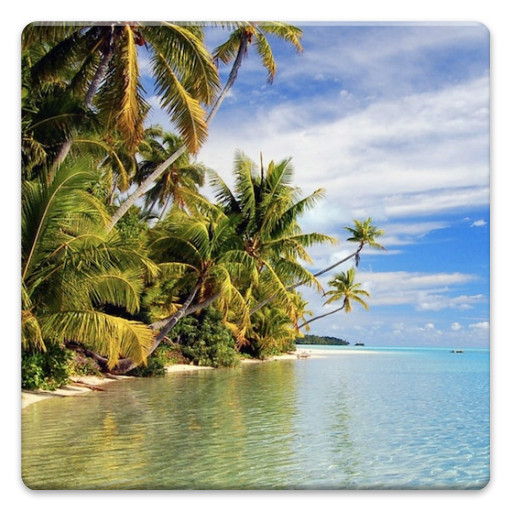 Sea and Tropics Wallpapers! icon
