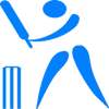 SmartCric : Live Cricket Streaming