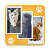 Cat Wallpapers HD icon