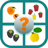 Fruit and vegetables quiz icon