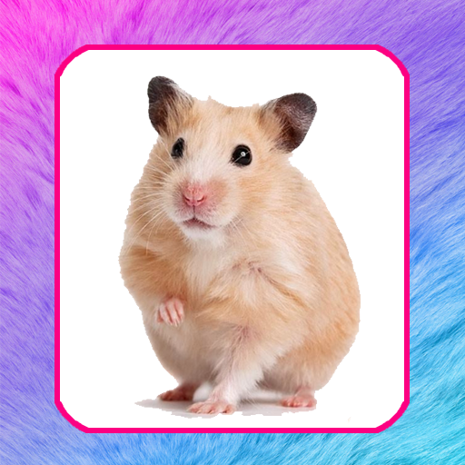 Звуки животных для детей icon