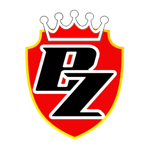 Bonanza Payment icon