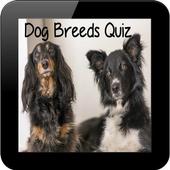 Dog Breeds Quiz icon