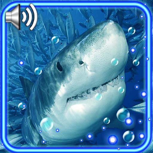 Sharks HD Live Wallpaper icon