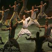 Best Kung Fu Martial Arts Training