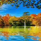 Colorful Lake Live Wallpaper icon