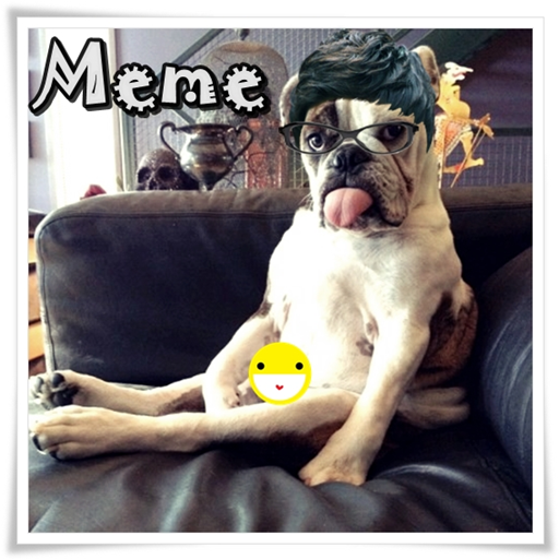 Fun and Hilarious Animal Meme icon