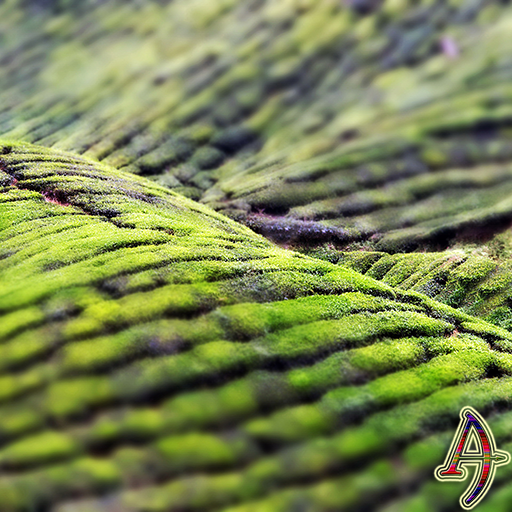 Grasslands XP Theme icon