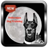 Doberman Dog Training on 9Apps
