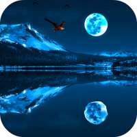 Moonlight 3D Wallpaper Free